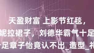 天盈财富 上影节红毯，五大男星倪妮拉裙子，刘德华霸气十足章子怡竟认不出_造型_礼服_朱一龙
